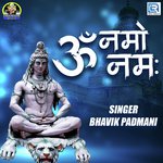 Bhavik Padmani