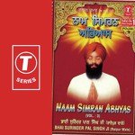 Bhai Surinder Pal Singh-Raipur Wale