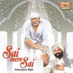 Amarjeet Bijli