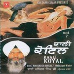 Bhai Maninder Singh Ji-Sri Nagar Wale