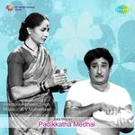 S.V. Ranga Rao Songs MP3 Download