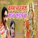 Ravi Prit