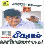 S.P.B. Music Songs MP3 Download