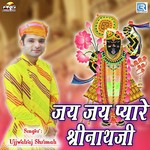 Ujjwalraj Shrimali