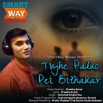 Abhishek Singha Roy