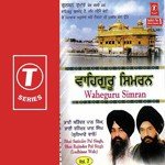 Bhai Rajender Pal Singh Ji-Ludhiana Wale