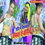 Rahul Son