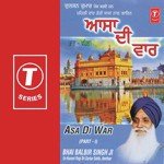 Bhai Balbir Singh-Amritsar Wale
