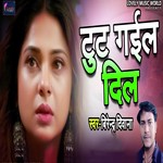 Birendra Deewana