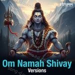 Om Namah Shivay Versions – Anuradha Paudwal