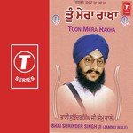 Bhai Surinder Singh-Jammu Wale