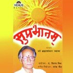 Dr. Bramhashankar Vyas