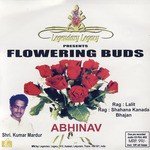 Kumar Mardur