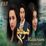 Rajab Ali Songs MP3 Download