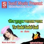 Ravi Shankar Songs MP3 Download