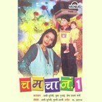 Master Hansraj