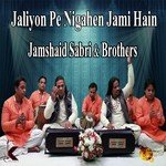 Jamshaid Sabri & Brothers Songs MP3 Download