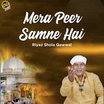 Riyaz Shola Qawwal