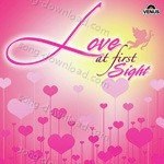 Love At First Sight – Alka Yagnik