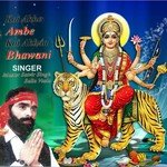 Satvir Singh Salla Vasia Songs MP3 Download