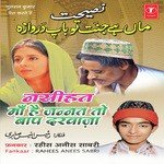 Rahees Anees Sabri