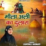 Maula Ali Ka Dulara MP3 Download