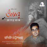 Agnibin Chattopadhyay Songs MP3 Download