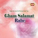 Ali Muhammad Taji Songs MP3 Download
