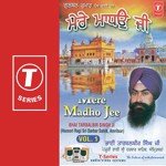 Bhai Taarbalbir Singh Ji-Amritsar Wale