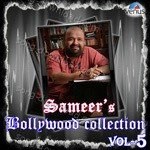 Mera Dil Bhi Kitna Pagal Hai – Alka Yagnik