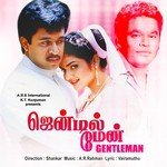 S. P. Balasubramaniam, S. Janaki Songs MP3 Download