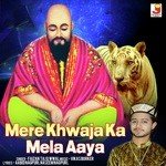 Faizan Taj Qawwal Songs MP3 Download