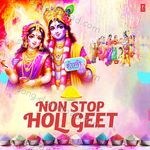 Non Stop Holi Geet MP3 Download