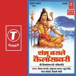 Yogesh Tapasvi Songs MP3 Download