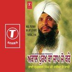 Bhai Inder Singh Ji