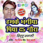 Bittu Bawali