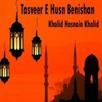 Khalid Hasnain Khalid Songs MP3 Download