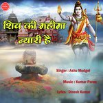 Aashu Mudgal