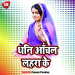 Pawan Panday Songs MP3 Download
