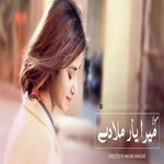 Waqar Ali Songs MP3 Download