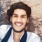 Pagaal Shayar Tiger